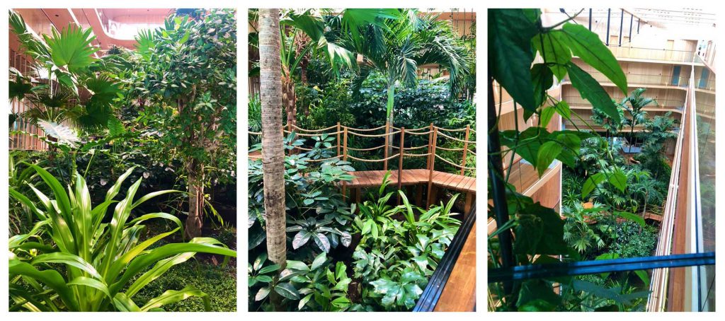 Tropische tuin in Hotel Jakarta Amsterdam